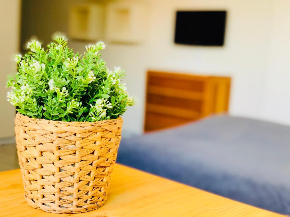 Estudio 4 En El Centro De Pontevedra Daire Dış mekan fotoğraf